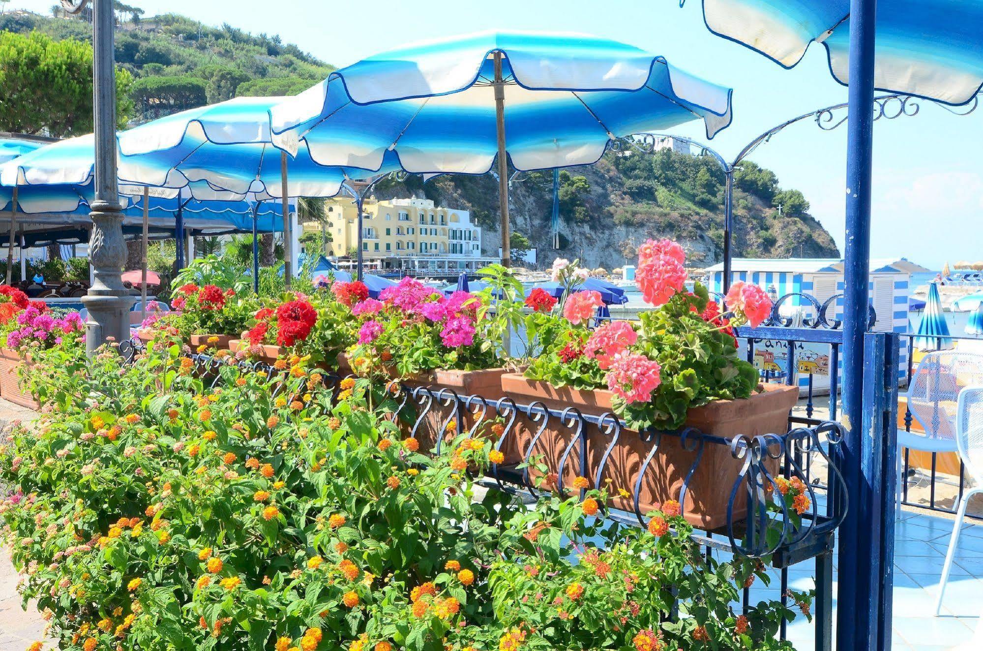 Hotel Terme Marina Lacco Ameno  Eksteriør billede